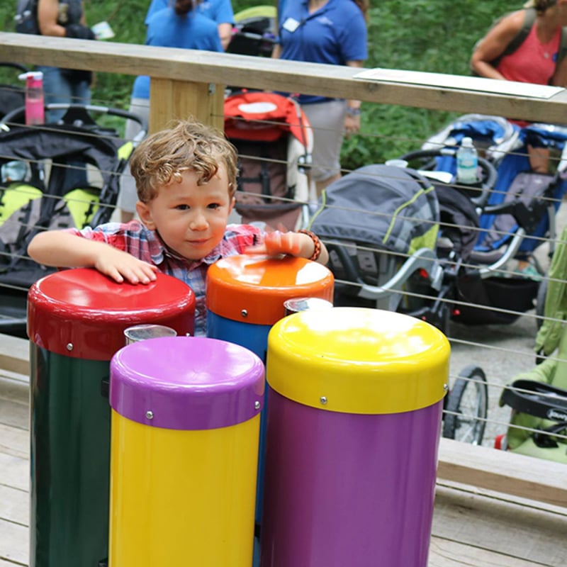 Treetops Museum preview 4